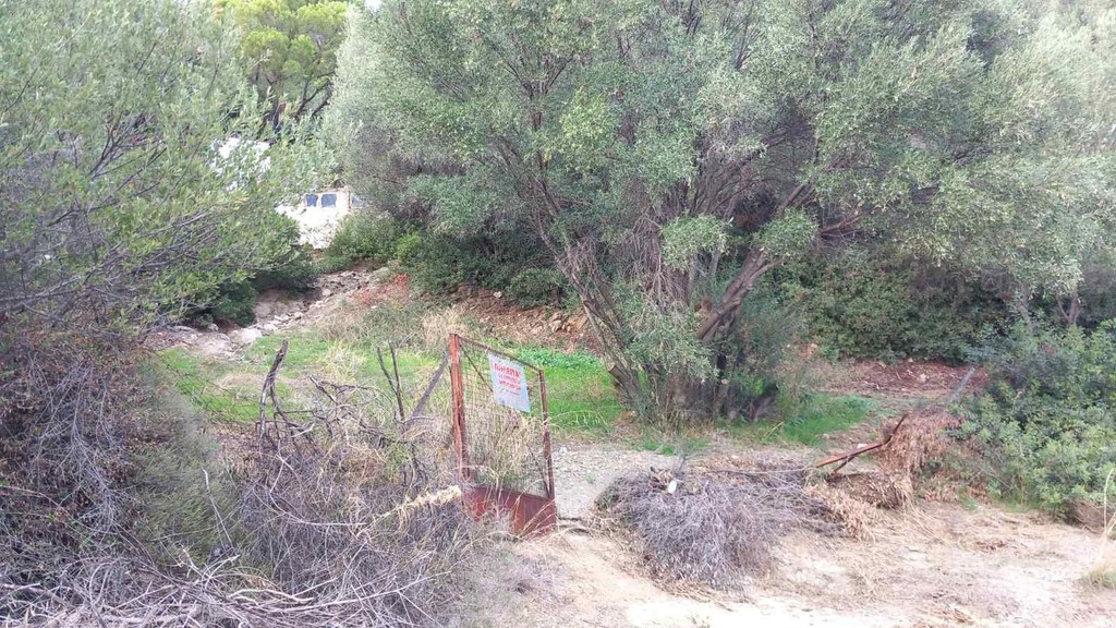 Αγροτεμάχια 347 τ.μ. πρός πώληση, Νησιά Αργοσαρωνικού, Σαλαμίνα