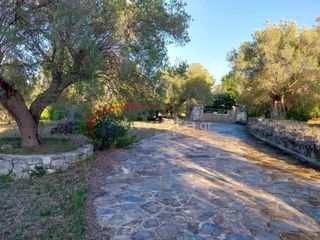 Βίλλα 204 τ.μ. προς πώληση, Άφυτος-thumb-19