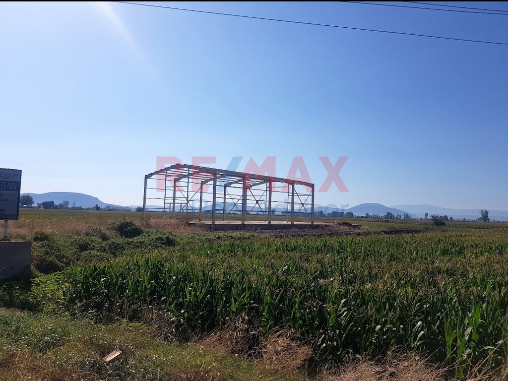 Οικόπεδο 5.000 τ.μ. προς πώληση, Στροβίκι