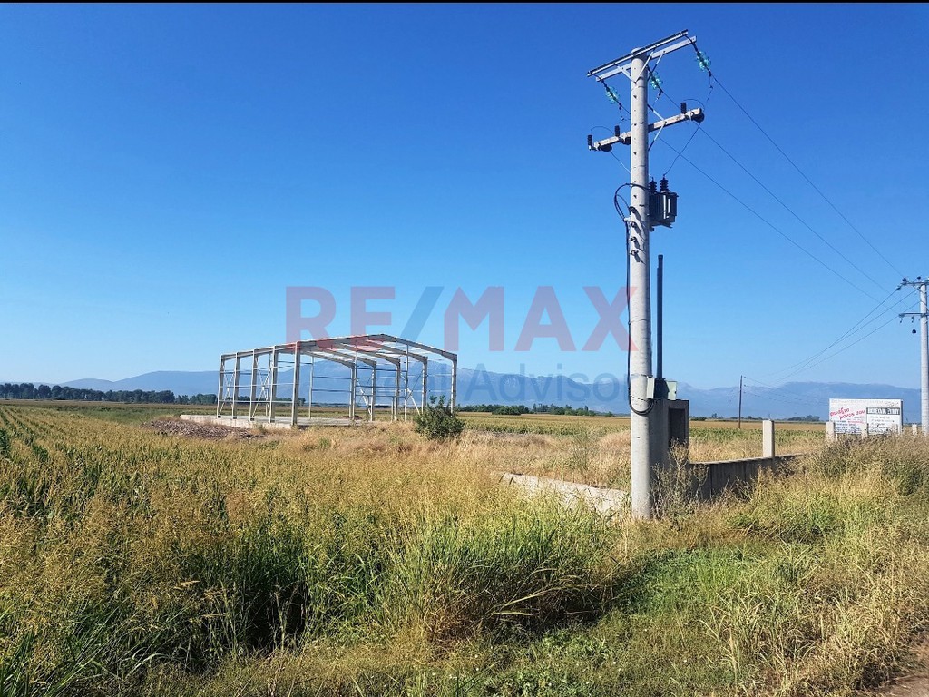 Οικόπεδο 5.000 τ.μ. προς πώληση, Στροβίκι