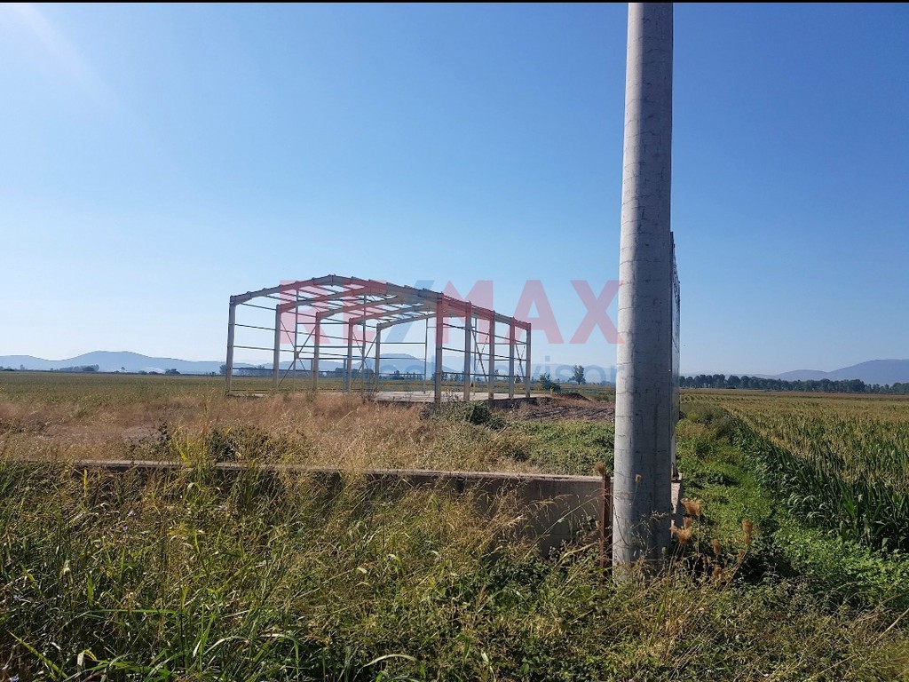 Οικόπεδο 5.000 τ.μ. προς πώληση, Στροβίκι