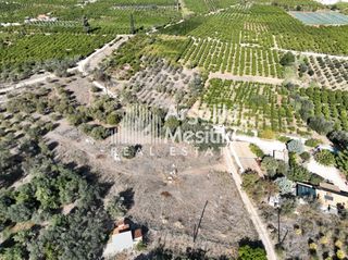 Αγροτεμάχια 2.745 τ.μ. για πώληση, Αργολίδα, Ασίνη-thumb-4