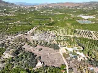 Αγροτεμάχια 2.745 τ.μ. για πώληση, Αργολίδα, Ασίνη-thumb-16