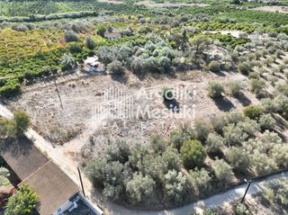 Αγροτεμάχια 2.745 τ.μ. για πώληση, Αργολίδα, Ασίνη-thumb-8