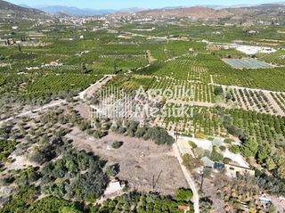 Αγροτεμάχια 2.745 τ.μ. για πώληση, Αργολίδα, Ασίνη-thumb-5
