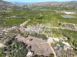 Αγροτεμάχια 2.745 τ.μ. για πώληση, Αργολίδα, Ασίνη-thumb-14