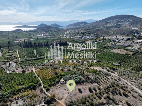 Αγροτεμάχια 2.745τ.μ. για πώληση-Ασίνη » Κέντρο
