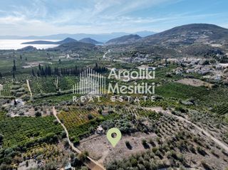 Αγροτεμάχια 2.745 τ.μ. για πώληση