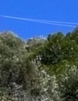 Οικόπεδο 36.000τ.μ. για πώληση-Ίος » Πεταλίδι
