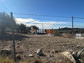 Οικόπεδο 980 τ.μ. για πώληση, Αχαΐα, Μεσσατίδα-thumb-10