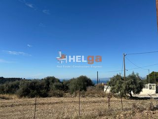 Οικόπεδο 980 τ.μ. για πώληση, Αχαΐα, Μεσσατίδα-thumb-7