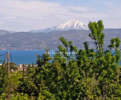 Μονοκατοικία 120τ.μ. για πώληση-Κ. σκάλας ωρωπού
