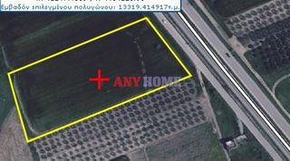 Αγροτεμάχια 13.300 τ.μ. για πώληση