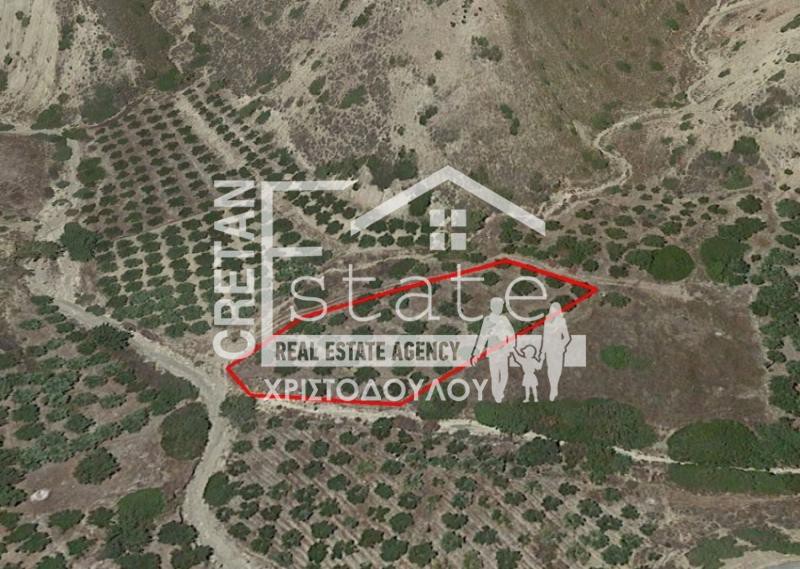 Αγροτεμάχια 4.014 τ.μ. προς πώληση, Βάτος Ιεράπετρας