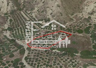 Αγροτεμάχια 4.014 τ.μ. για πώληση