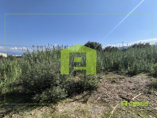 Αγροτεμάχια 1.424 τ.μ. για πώληση, Αχαΐα, Ρίο-thumb-21