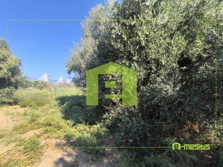 Αγροτεμάχια 1.424 τ.μ. για πώληση, Αχαΐα, Ρίο-thumb-8