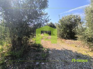 Αγροτεμάχια 1.424 τ.μ. για πώληση, Αχαΐα, Ρίο-thumb-1