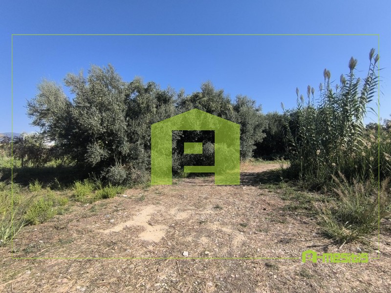 Αγροτεμάχια 1.424 τ.μ. για πώληση, Αχαΐα, Ρίο