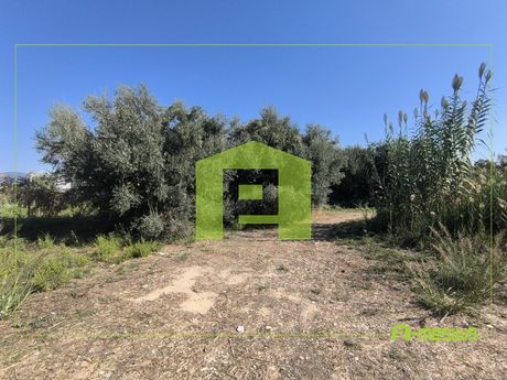 Αγροτεμάχια 1.424τ.μ. για πώληση-Ρίο » Δρέπανο