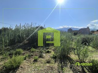 Αγροτεμάχια 1.424 τ.μ. για πώληση, Αχαΐα, Ρίο-thumb-14