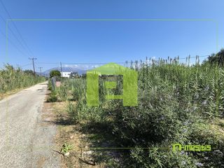 Αγροτεμάχια 1.424 τ.μ. για πώληση, Αχαΐα, Ρίο-thumb-18