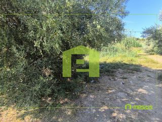 Αγροτεμάχια 1.424 τ.μ. για πώληση, Αχαΐα, Ρίο-thumb-13