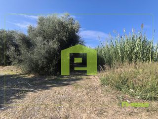 Αγροτεμάχια 1.424 τ.μ. για πώληση, Αχαΐα, Ρίο-thumb-3