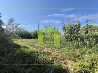 Αγροτεμάχια 1.424 τ.μ. για πώληση, Αχαΐα, Ρίο-thumb-10