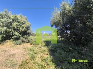 Αγροτεμάχια 1.424 τ.μ. για πώληση, Αχαΐα, Ρίο-thumb-7