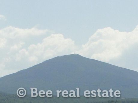 Αγροτεμάχια 3.700 τ.μ. για πώληση