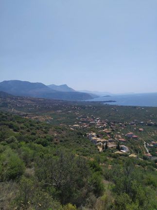Οικόπεδο 28.500 τ.μ. για πώληση, Μεσσηνία, Λεύκτρος