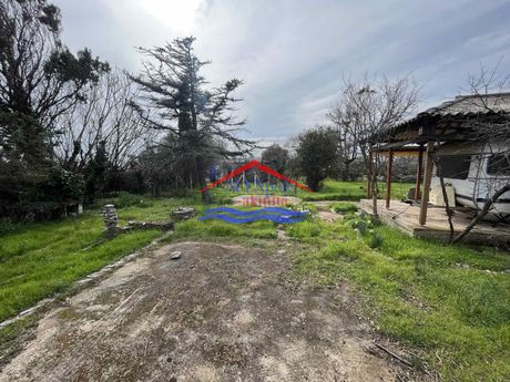 Parcel 1.200sqm for sale-Alexandroupoli » Makri