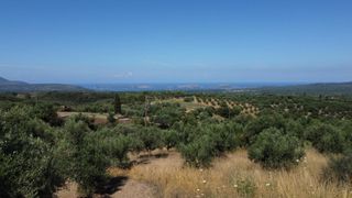 Οικόπεδο 1.040 τ.μ. προς πώληση, Μεσσηνία, Χιλιοχώρια-thumb-5