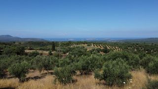 Οικόπεδο 1.040 τ.μ. προς πώληση, Μεσσηνία, Χιλιοχώρια-thumb-20