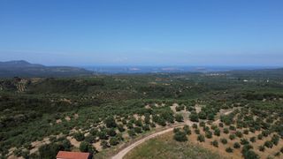 Οικόπεδο 1.040 τ.μ. προς πώληση, Μεσσηνία, Χιλιοχώρια-thumb-23