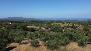 Οικόπεδο 1.040 τ.μ. προς πώληση, Μεσσηνία, Χιλιοχώρια-thumb-13