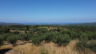 Οικόπεδο 1.040 τ.μ. προς πώληση, Μεσσηνία, Χιλιοχώρια-thumb-17