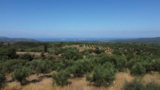 Οικόπεδο 1.040 τ.μ. προς πώληση, Μεσσηνία, Χιλιοχώρια-thumb-16