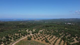 Οικόπεδο 1.040 τ.μ. προς πώληση, Μεσσηνία, Χιλιοχώρια-thumb-24