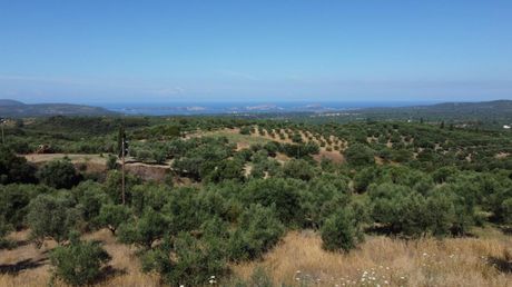 Οικόπεδο 1.040 τ.μ. πρός πώληση