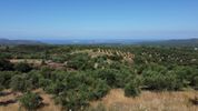 Land plot 1.040sqm for sale-Chiliochoria » Chandrinos