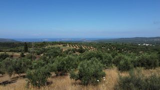 Οικόπεδο 1.040 τ.μ. προς πώληση, Μεσσηνία, Χιλιοχώρια-thumb-18