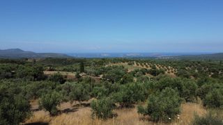 Οικόπεδο 1.040 τ.μ. προς πώληση, Μεσσηνία, Χιλιοχώρια-thumb-14