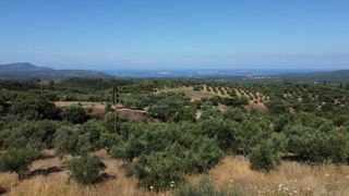 Οικόπεδο 1.040 τ.μ. προς πώληση, Μεσσηνία, Χιλιοχώρια-thumb-12