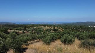 Οικόπεδο 1.040 τ.μ. προς πώληση, Μεσσηνία, Χιλιοχώρια-thumb-4