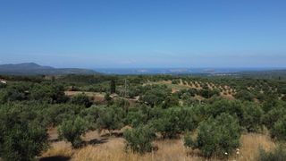 Οικόπεδο 1.040 τ.μ. προς πώληση, Μεσσηνία, Χιλιοχώρια-thumb-15