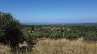 Οικόπεδο 1.040 τ.μ. προς πώληση, Μεσσηνία, Χιλιοχώρια-thumb-2