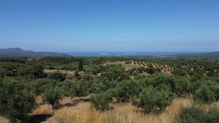 Οικόπεδο 1.040 τ.μ. προς πώληση, Μεσσηνία, Χιλιοχώρια-thumb-11