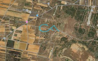Land plot 8.000 sqm for sale